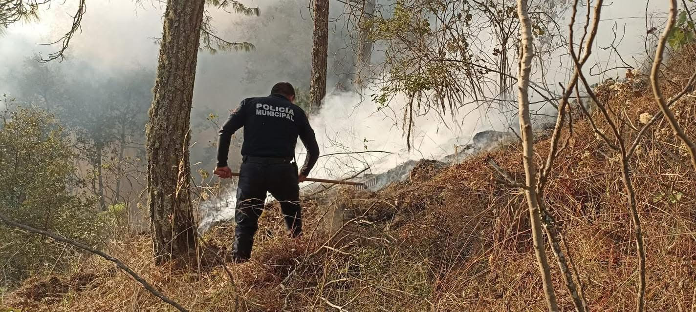 Se inició un incendio en la localidad de Jalcomulco,